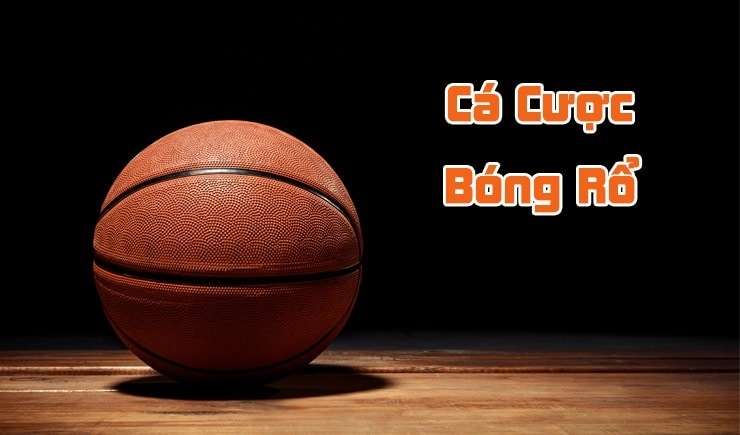 cá cược bóng rổ Chinese Basketball Association